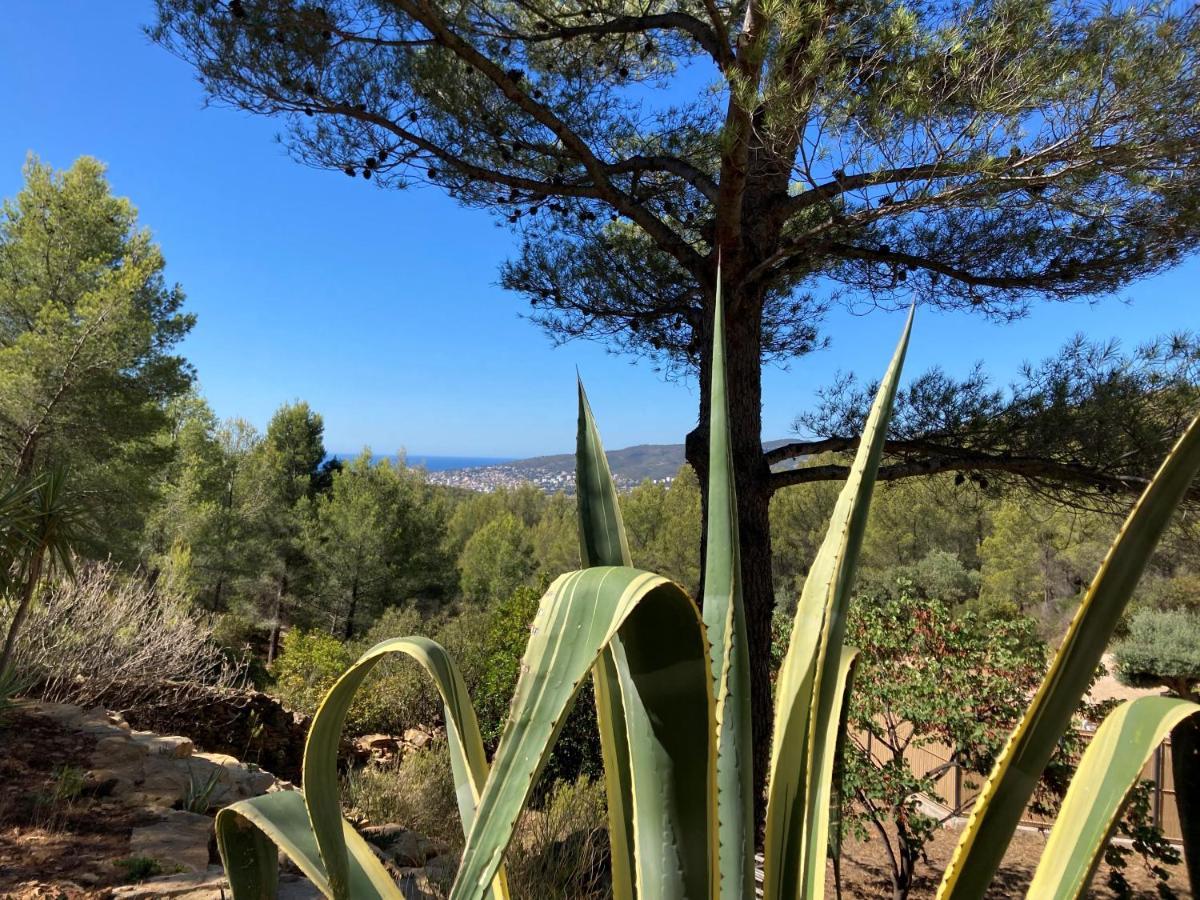 Villa Avec Jacuzzi Sur Les Hauteurs De La Ciotat Ceyreste Kültér fotó